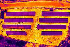 WhatsApp Image 2024-11-12 at 16.03.43